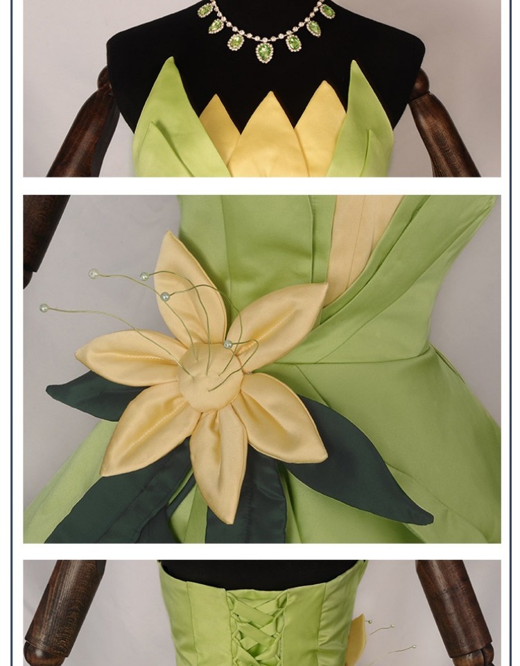 Costume da principessa Tiana,  - Tech Accessories For Men recensione e prezzo