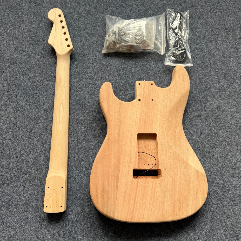 Chitarra Elettrica Fai-da-Te P - Tech House Accessories recensione e prezzo