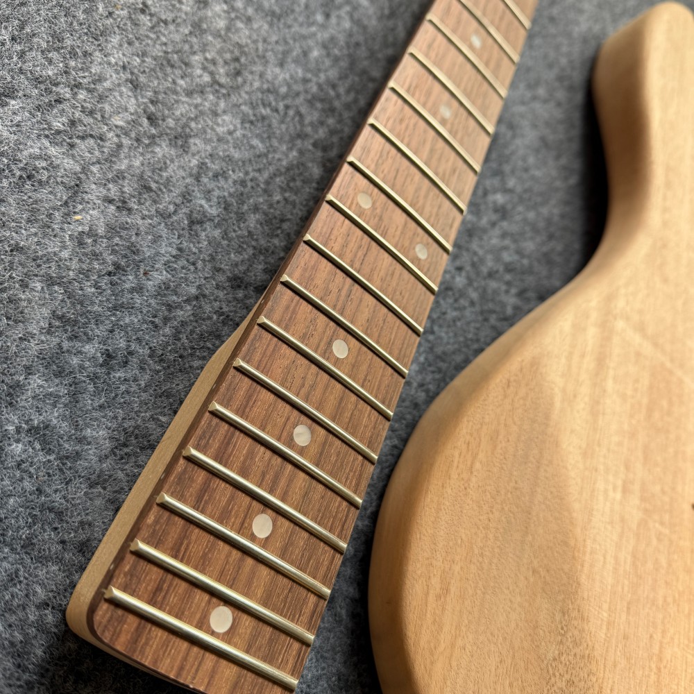 Chitarra Elettrica Fai-da-Te P - Tech House Accessories recensione e prezzo